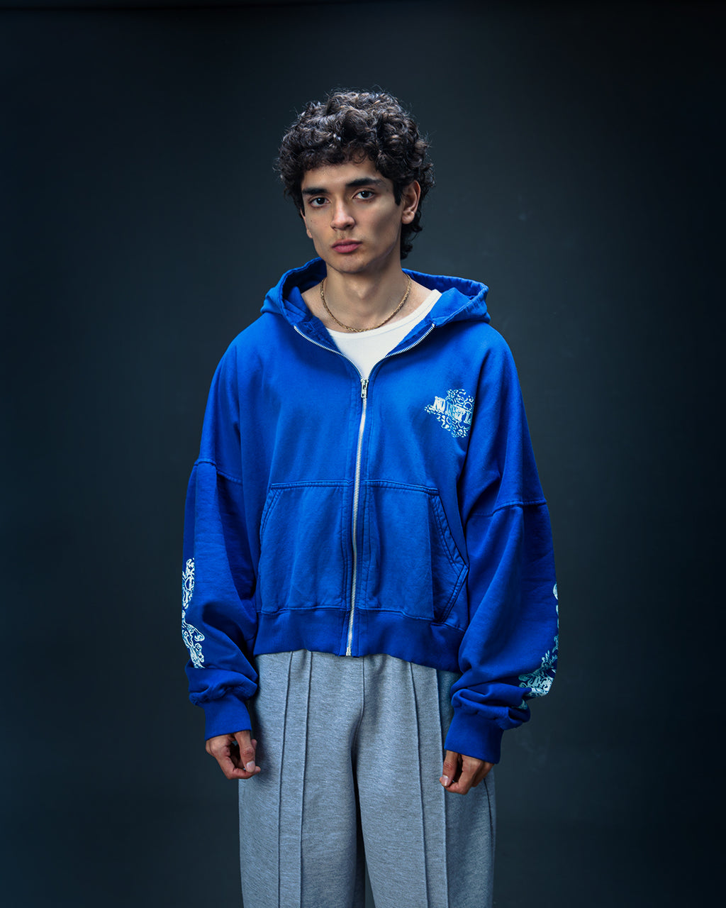 ZIP HOODIE BLUE: TEARS OF A KINGDOM