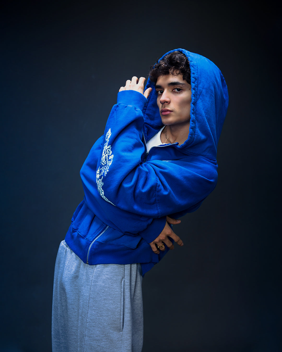 ZIP HOODIE BLUE: TEARS OF A KINGDOM
