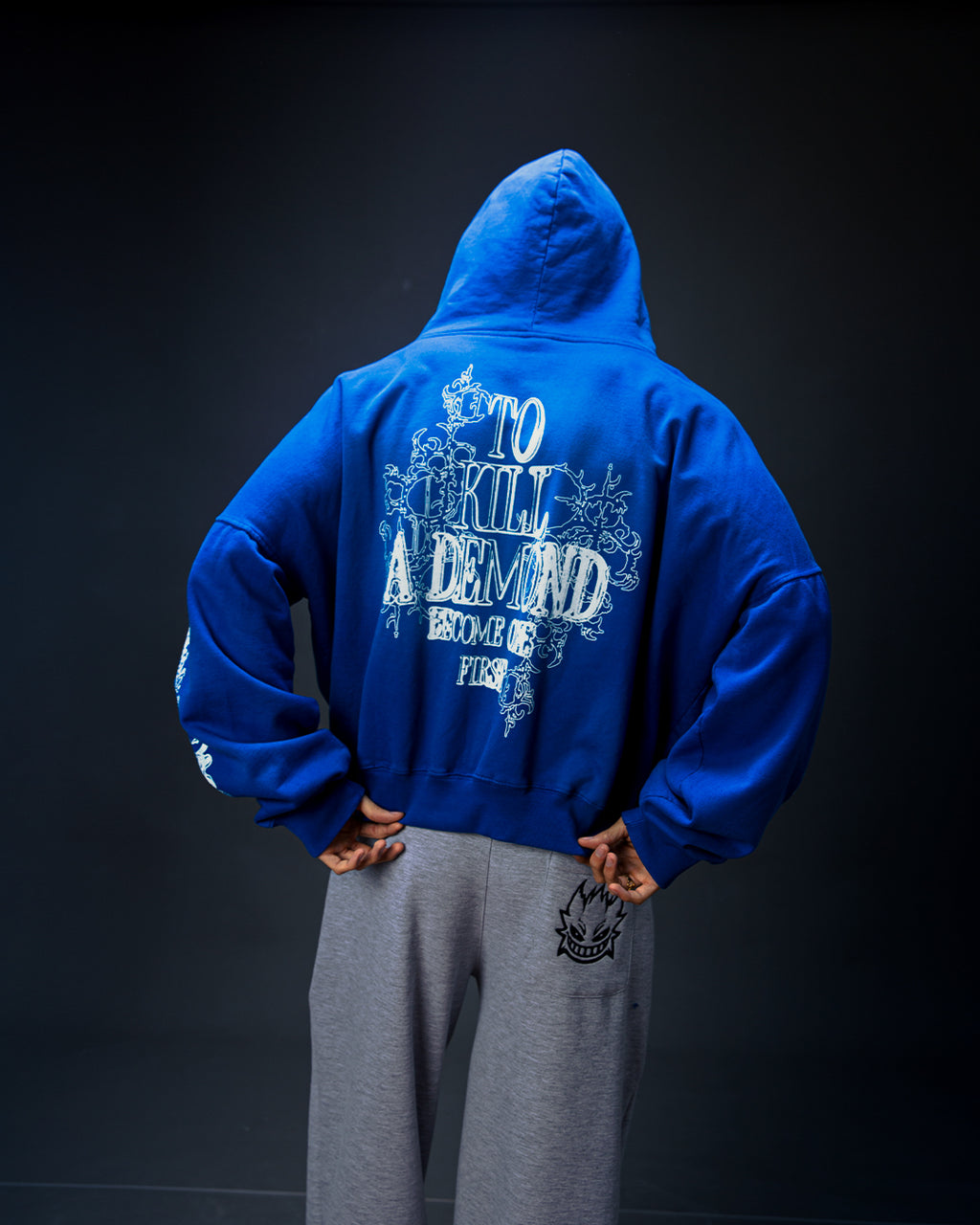 ZIP HOODIE BLUE: TEARS OF A KINGDOM