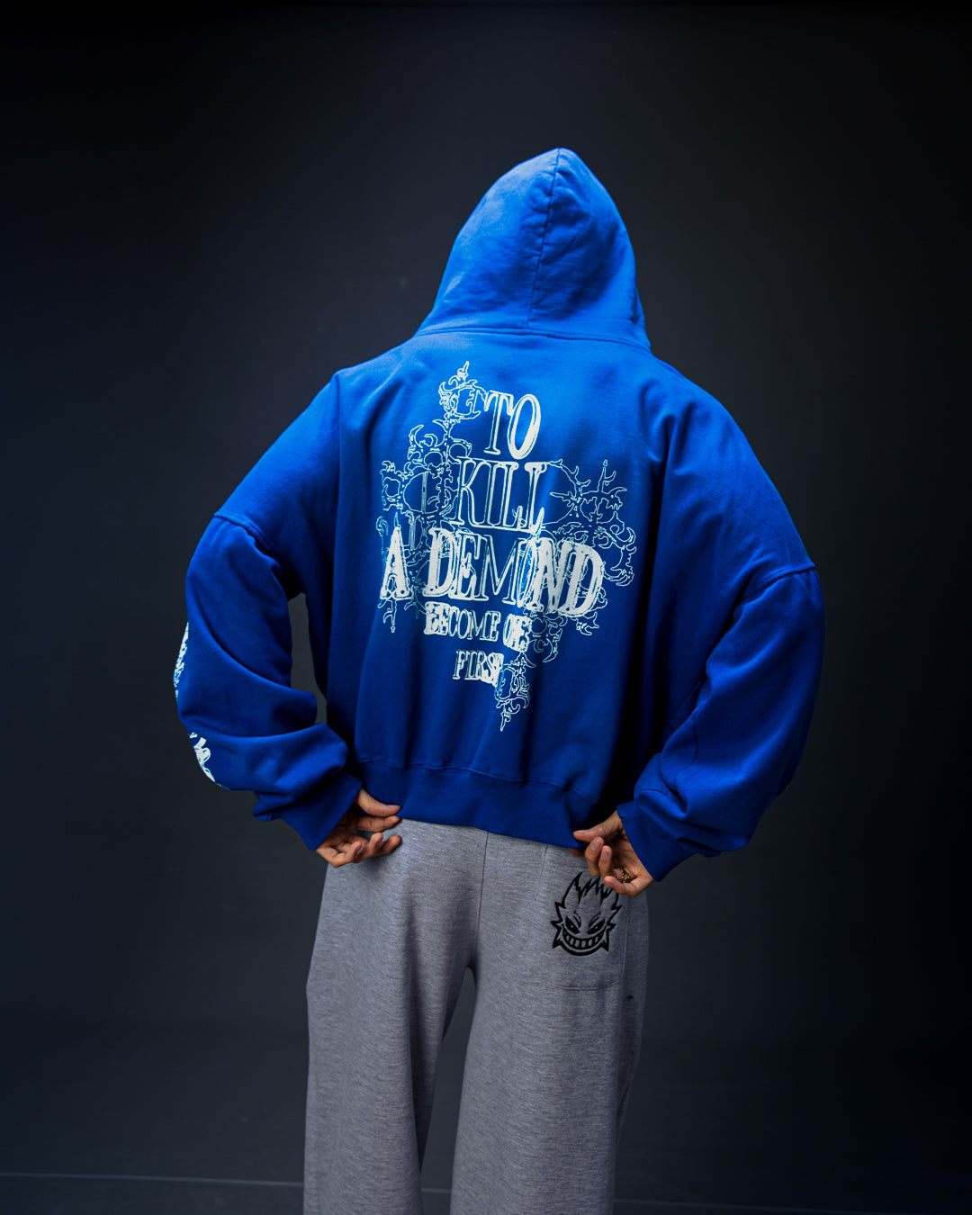 ZIP HOODIE BLUE: TEARS OF A KINGDOM